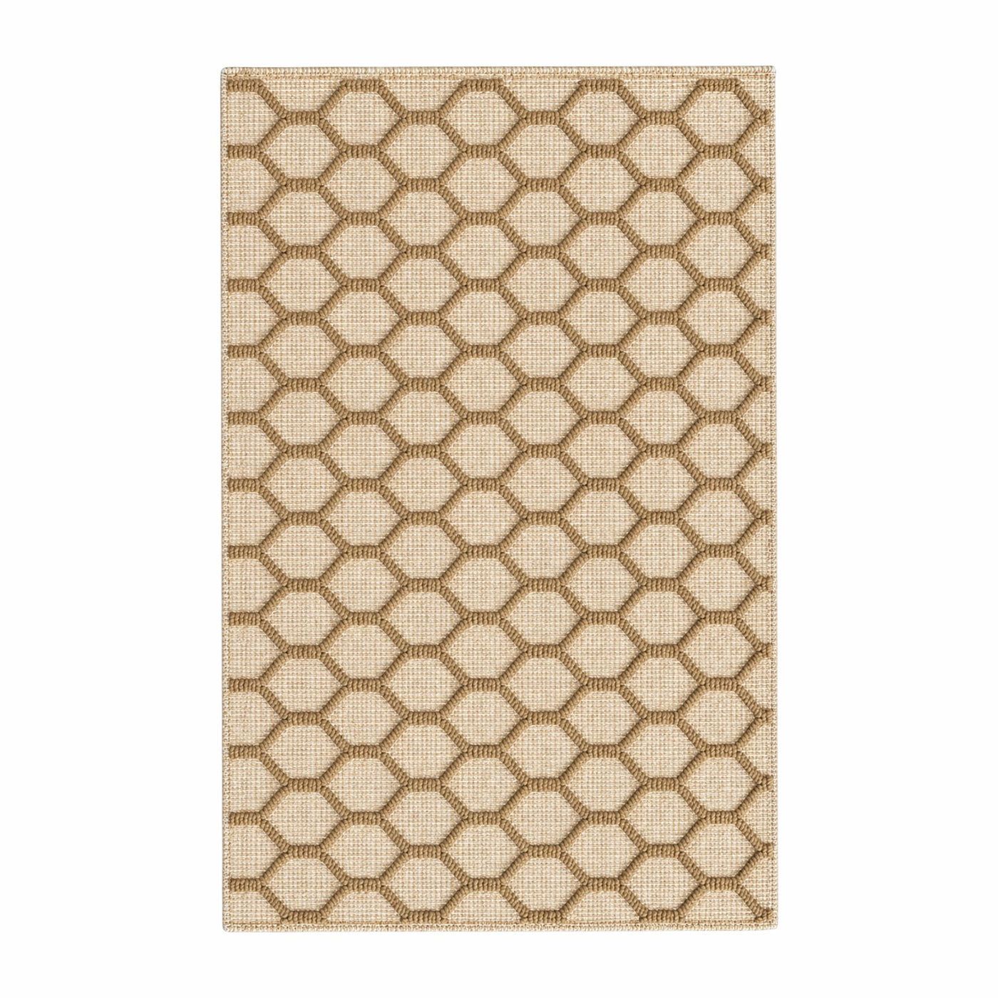Larson Woven Rug